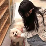 apex英雄手游体验服下载